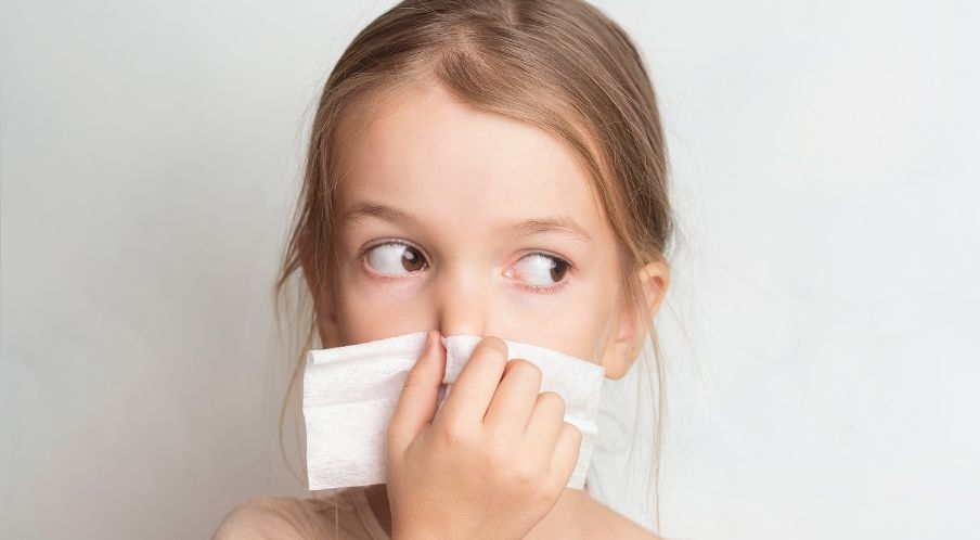 「 家に潜む健康リスク「ダニアレルギー」と「カビアレルギー」　その特徴と予防に効果的な掃除法」