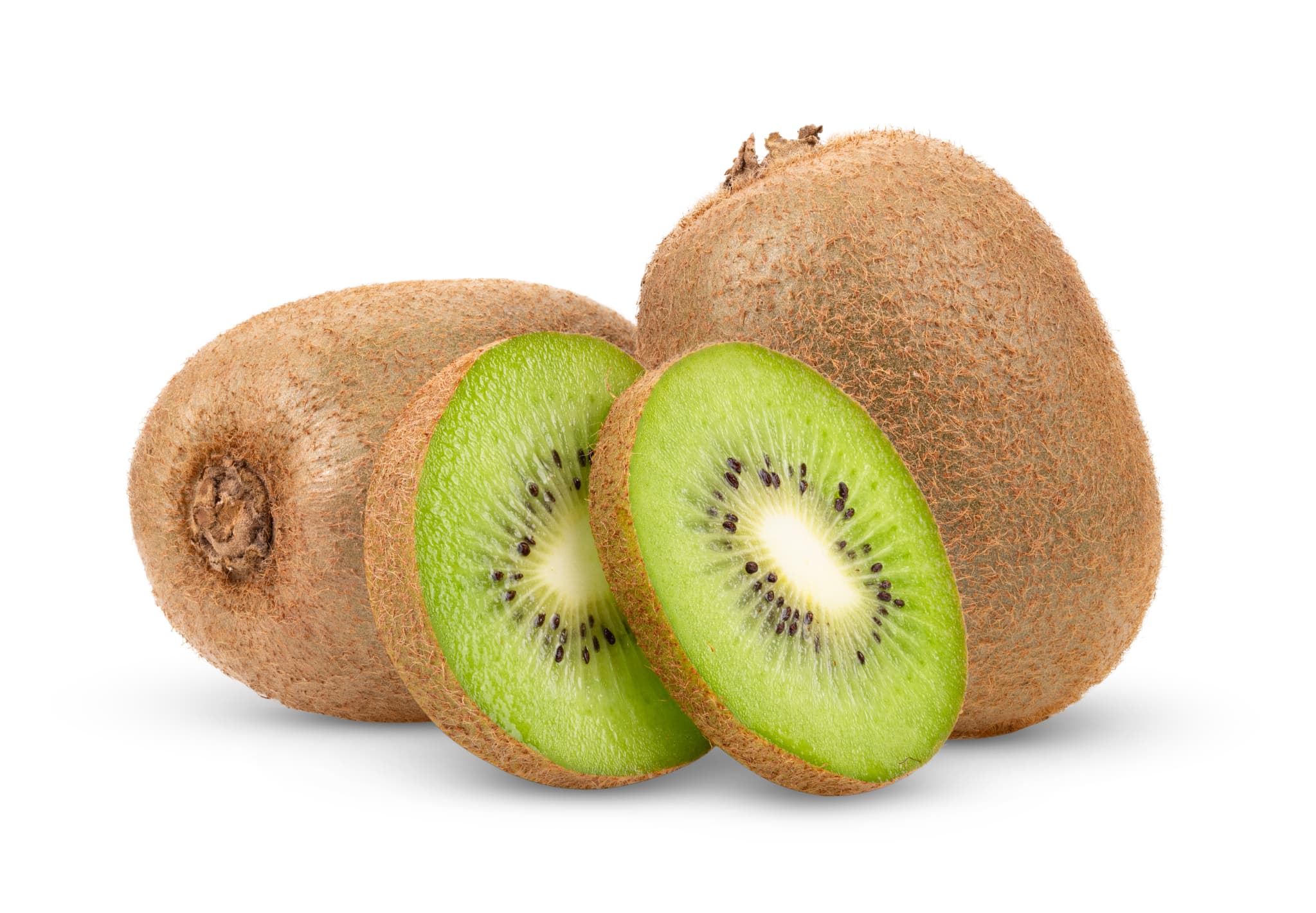 本日は休診です