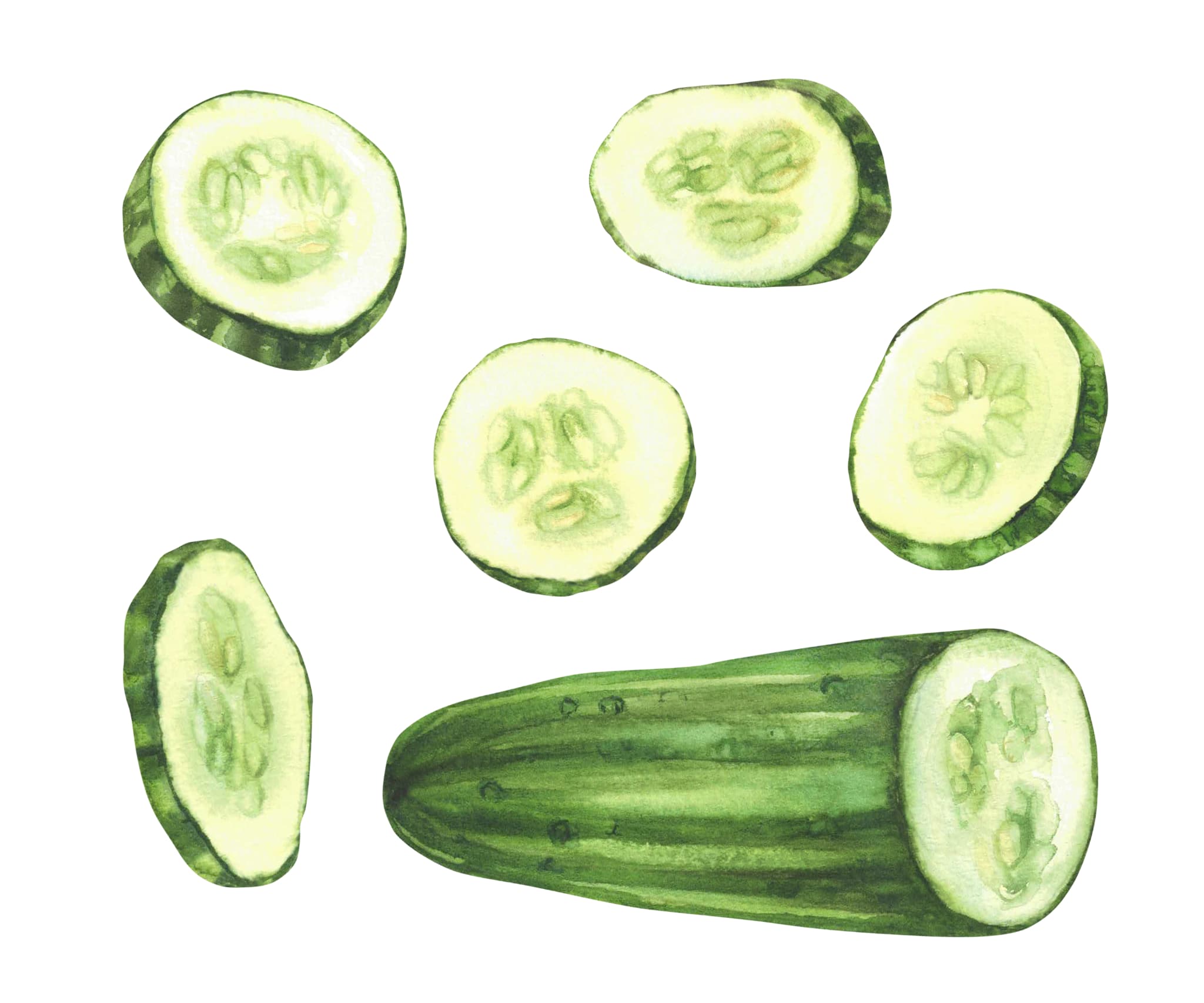 本日は休診です