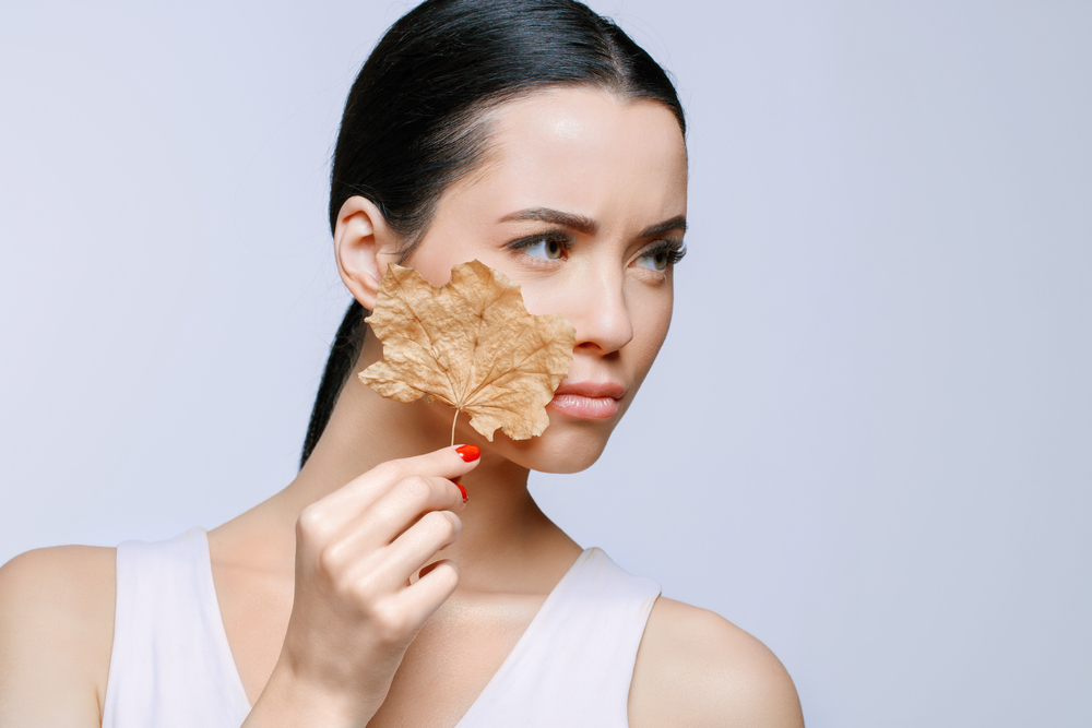 本日は休診です